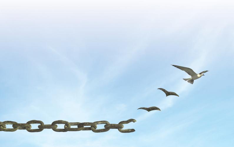 Image of a bird braking free from a chain