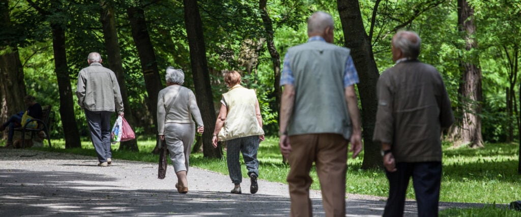Examining the Relationship Between Hearing Loss and Physical Function in Older Adults (fotohuta/shutterstock.com)