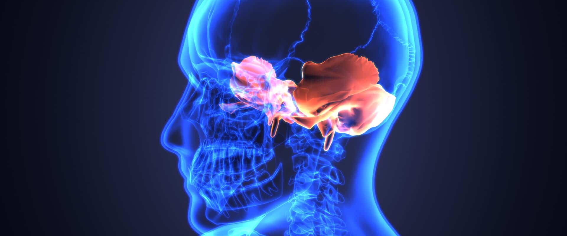 Harvested Temporal Bones Shed Light on How COVID-19 Affects the Inner Ear (Life science/shutterstock.com)