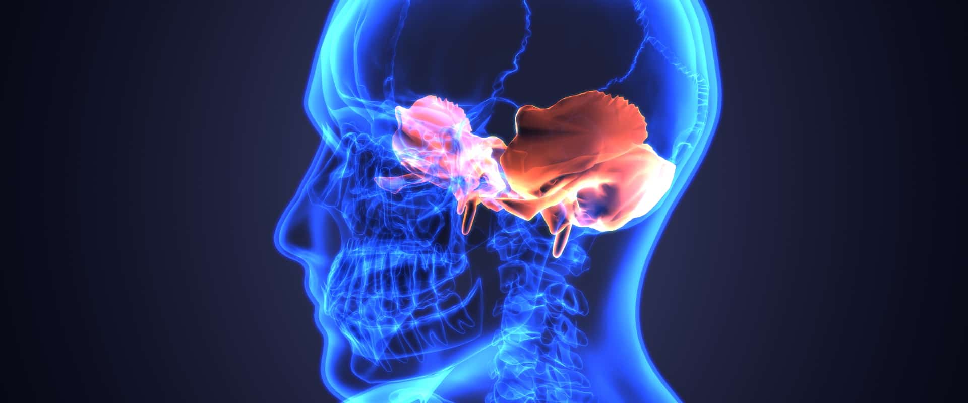 Harvested Temporal Bones Shed Light on How COVID-19 Affects the Inner Ear (Life science/shutterstock.com)