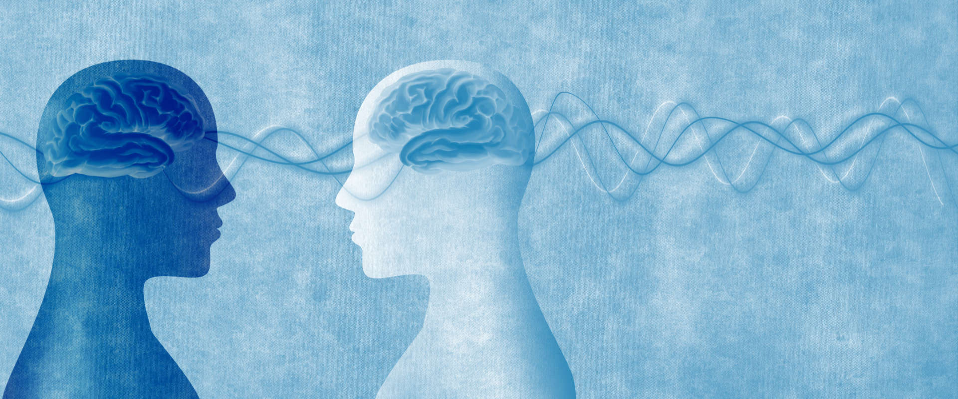 Cognitive Measures and Electrocochleography Team Up (melitas/shutterstock.com)