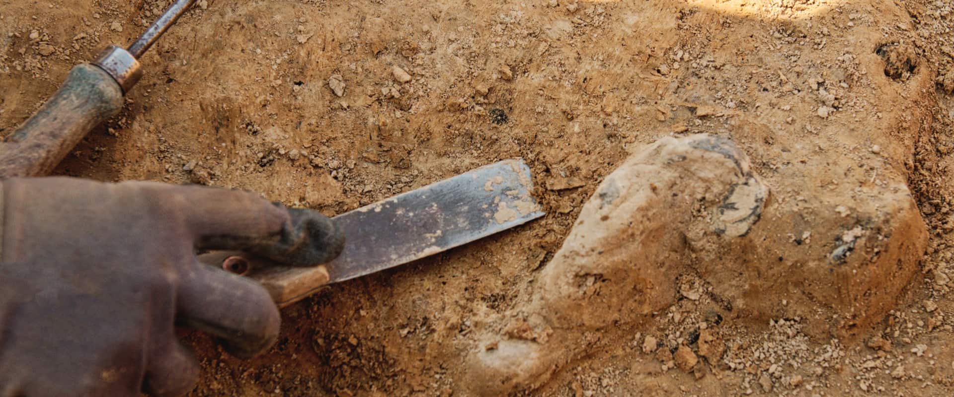 Stone Age Otologic Surgical Techniques Unearthed at Archeological Site (NERYXCOM/shutterstock.com)