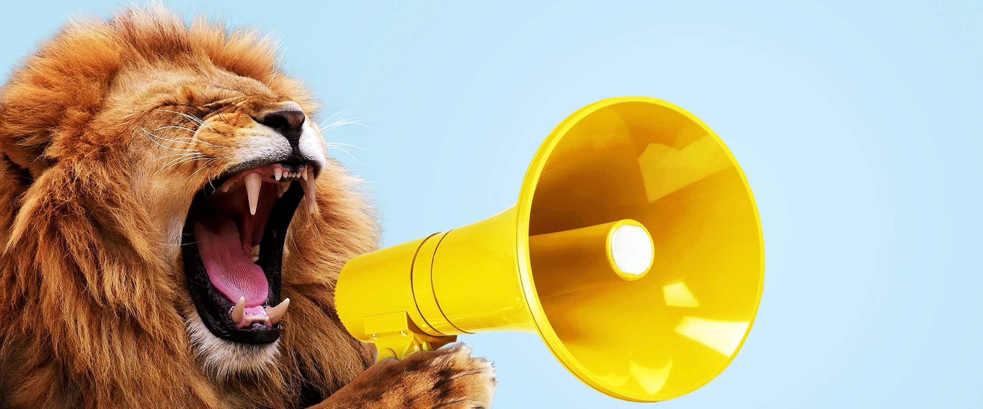 The Loudest Animals in the World