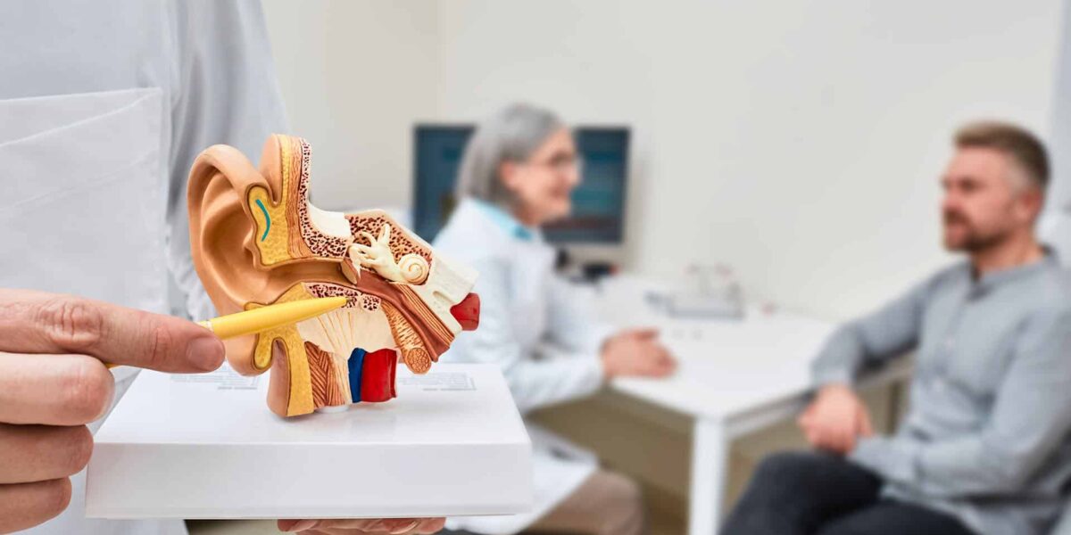 Anatomical model of human ear in doctor hands, close-up. Hearing treatment and diagnosis for male patient with audiologist at hearing clinic over background, soft focus. Credit: Shutterstock.