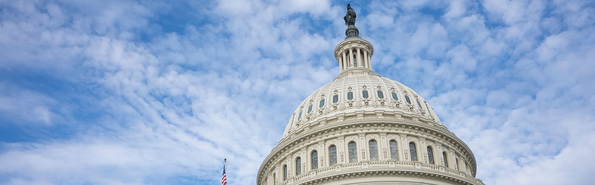 Lead Locally, Influence Nationally: Become an AAA Ambassador