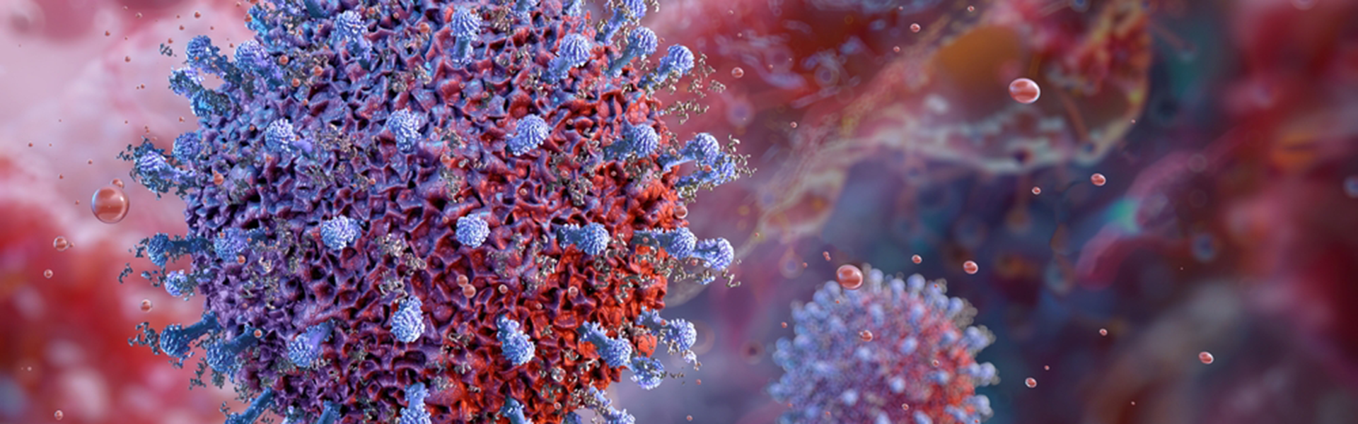 Support for Congenital Cytomegalovirus Screenings