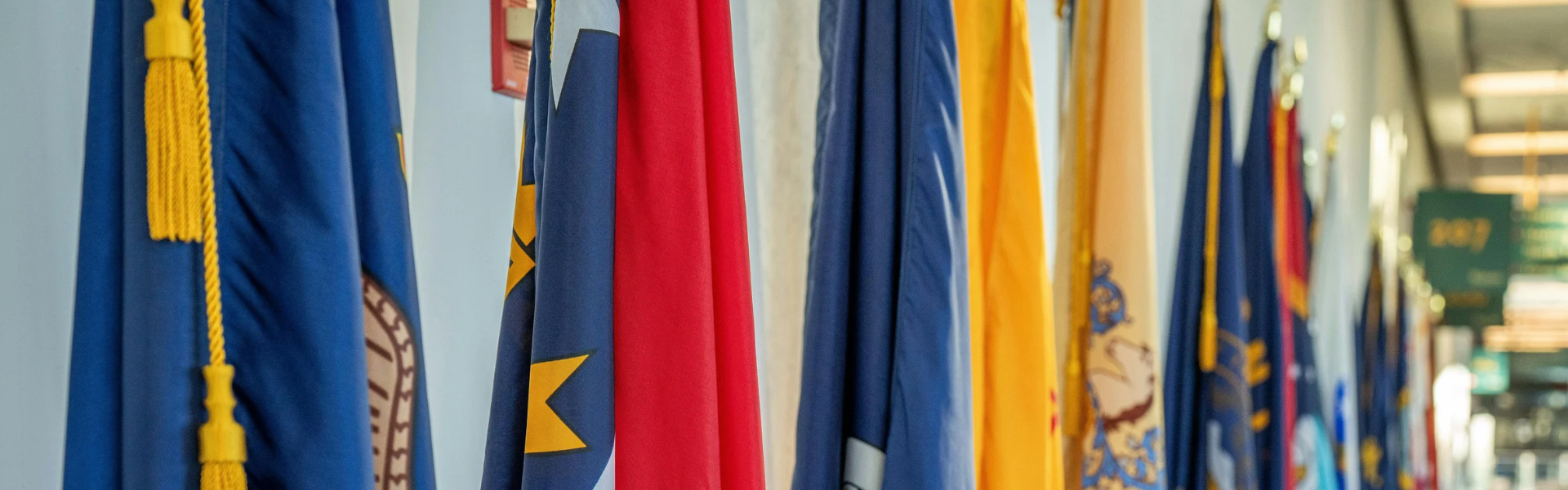 Flags of different countires