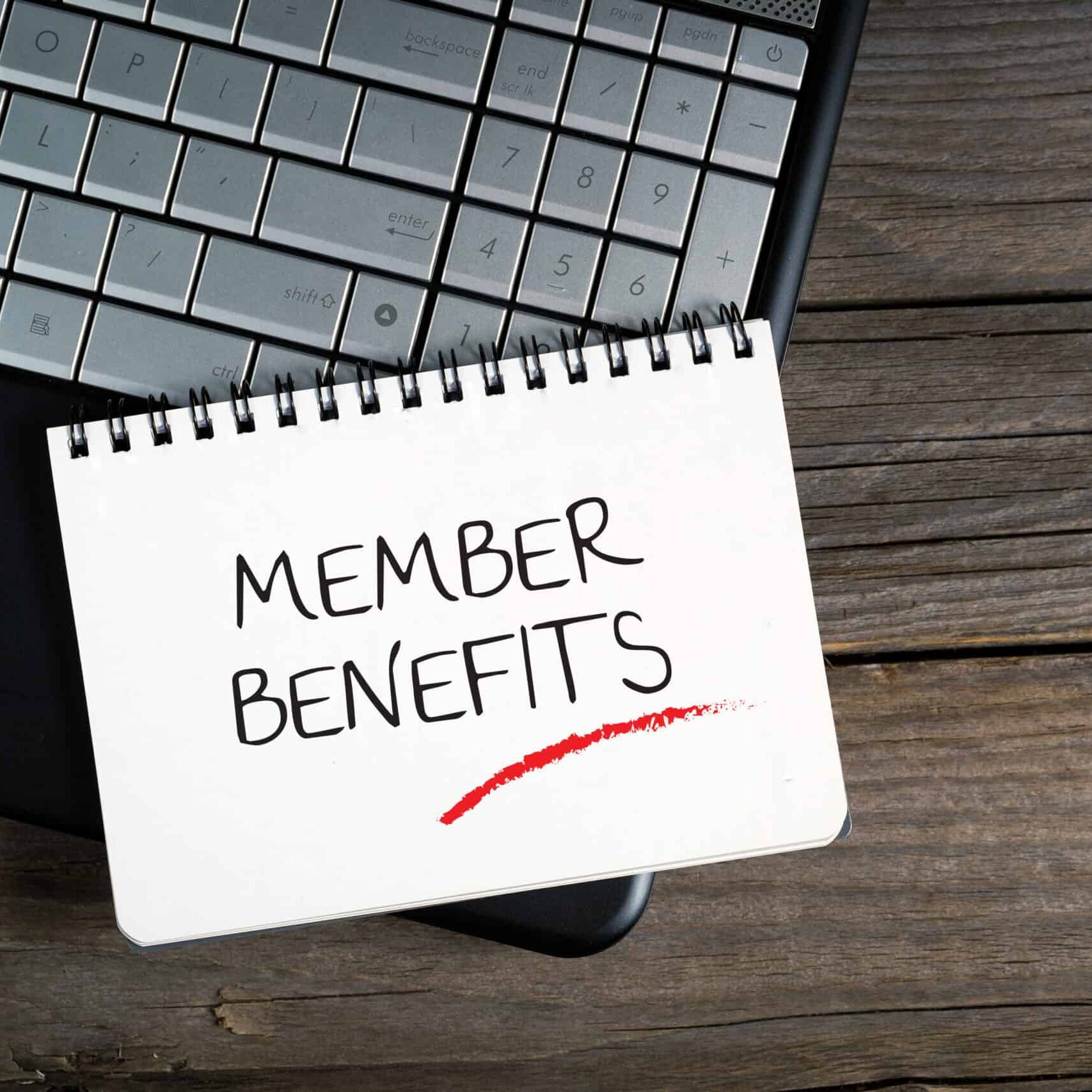 Member,Benefits,,E-commerce,Conceptual Member,Benefits,,E-commerce,Conceptual